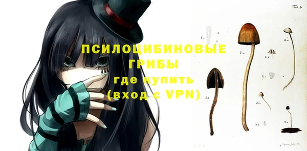 дурь Нягань