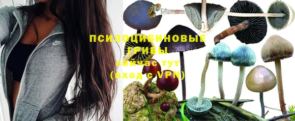 скорость mdpv Абаза