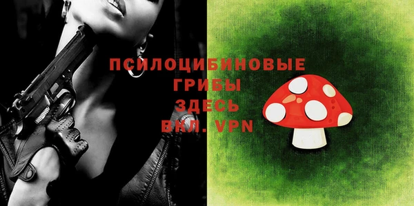 дурь Нягань
