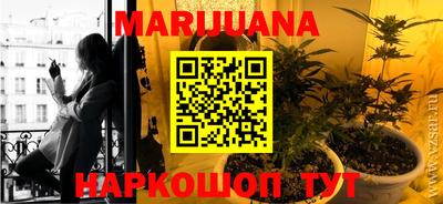 индика Старая Купавна